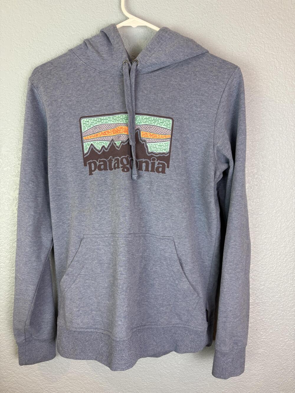 Patagonia Hoodie Mens Large Gray Organic Cotton Pullover Mountain Logo WOBL FA19